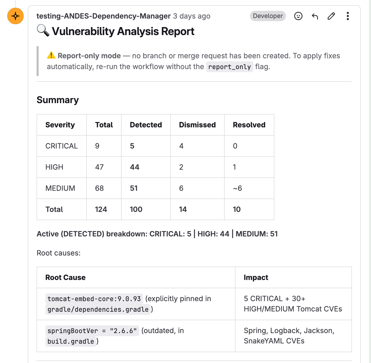 Vulnerability Report Summary